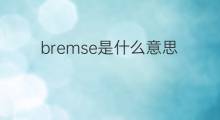bremse是什么意思 bremse的翻译、读音、例句、中文解释