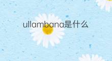 ullambana是什么意思 ullambana的翻译、读音、例句、中文解释