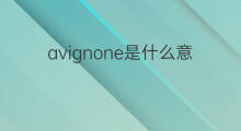 avignone是什么意思 avignone的翻译、读音、例句、中文解释