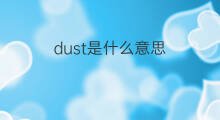 dust是什么意思 dust的翻译、读音、例句、中文解释