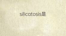 silicatosis是什么意思 silicatosis的翻译、读音、例句、中文解释
