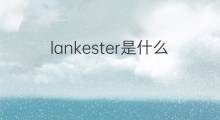 lankester是什么意思 lankester的翻译、读音、例句、中文解释