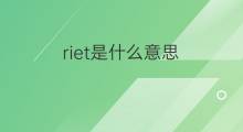 riet是什么意思 riet的翻译、读音、例句、中文解释