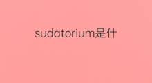 sudatorium是什么意思 sudatorium的翻译、读音、例句、中文解释