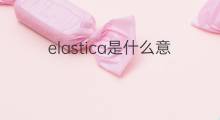elastica是什么意思 elastica的翻译、读音、例句、中文解释