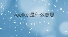 voelkel是什么意思 voelkel的翻译、读音、例句、中文解释