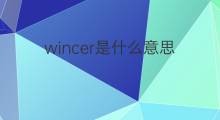 wincer是什么意思 wincer的翻译、读音、例句、中文解释