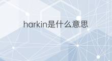 harkin是什么意思 harkin的翻译、读音、例句、中文解释
