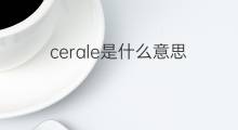 cerale是什么意思 cerale的翻译、读音、例句、中文解释