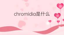 chromidia是什么意思 chromidia的翻译、读音、例句、中文解释