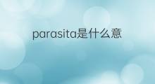 parasita是什么意思 parasita的翻译、读音、例句、中文解释