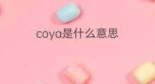 coya是什么意思 英文名coya的翻译、发音、来源