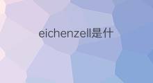 eichenzell是什么意思 eichenzell的翻译、读音、例句、中文解释