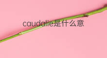 caudalie是什么意思 caudalie的翻译、读音、例句、中文解释