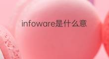 infoware是什么意思 infoware的翻译、读音、例句、中文解释
