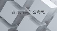 surlyn是什么意思 surlyn的翻译、读音、例句、中文解释