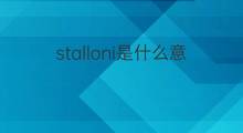 stalloni是什么意思 stalloni的翻译、读音、例句、中文解释