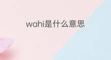 wahi是什么意思 wahi的翻译、读音、例句、中文解释