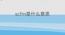 scfm是什么意思 scfm的翻译、读音、例句、中文解释