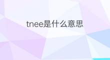 tnee是什么意思 tnee的翻译、读音、例句、中文解释