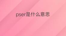 pser是什么意思 pser的翻译、读音、例句、中文解释
