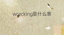wrecking是什么意思 wrecking的翻译、读音、例句、中文解释