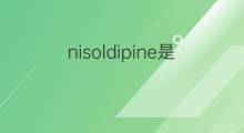 nisoldipine是什么意思 nisoldipine的翻译、读音、例句、中文解释