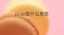 pcse是什么意思 pcse的翻译、读音、例句、中文解释