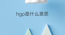 hgp是什么意思 hgp的翻译、读音、例句、中文解释