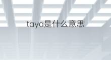 taya是什么意思 taya的翻译、读音、例句、中文解释