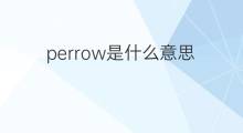 perrow是什么意思 perrow的翻译、读音、例句、中文解释