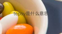 tepoy是什么意思 tepoy的翻译、读音、例句、中文解释