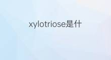 xylotriose是什么意思 xylotriose的翻译、读音、例句、中文解释