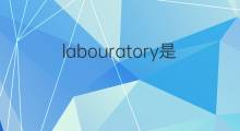 labouratory是什么意思 labouratory的翻译、读音、例句、中文解释