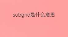 subgrid是什么意思 subgrid的翻译、读音、例句、中文解释
