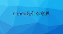 shong是什么意思 shong的翻译、读音、例句、中文解释
