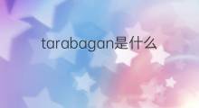 tarabagan是什么意思 tarabagan的翻译、读音、例句、中文解释