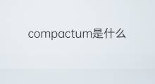 compactum是什么意思 compactum的翻译、读音、例句、中文解释