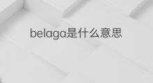 belaga是什么意思 belaga的翻译、读音、例句、中文解释