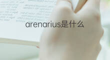 arenarius是什么意思 arenarius的翻译、读音、例句、中文解释