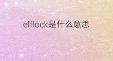 elflock是什么意思 elflock的翻译、读音、例句、中文解释