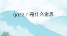 gazzini是什么意思 gazzini的翻译、读音、例句、中文解释
