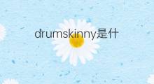 drumskinny是什么意思 drumskinny的翻译、读音、例句、中文解释