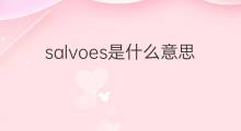salvoes是什么意思 salvoes的翻译、读音、例句、中文解释