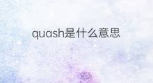 quash是什么意思 quash的翻译、读音、例句、中文解释
