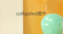 colligated是什么意思 colligated的翻译、读音、例句、中文解释