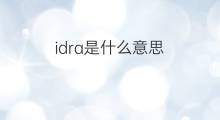 idra是什么意思 idra的翻译、读音、例句、中文解释