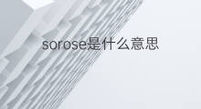 sorose是什么意思 sorose的翻译、读音、例句、中文解释