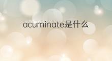 acuminate是什么意思 acuminate的翻译、读音、例句、中文解释