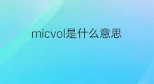 micvol是什么意思 micvol的翻译、读音、例句、中文解释